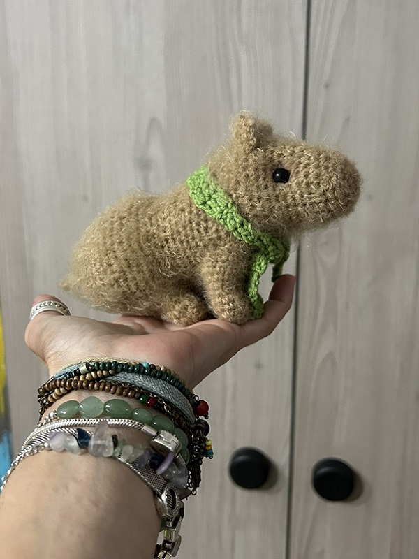 Капибара